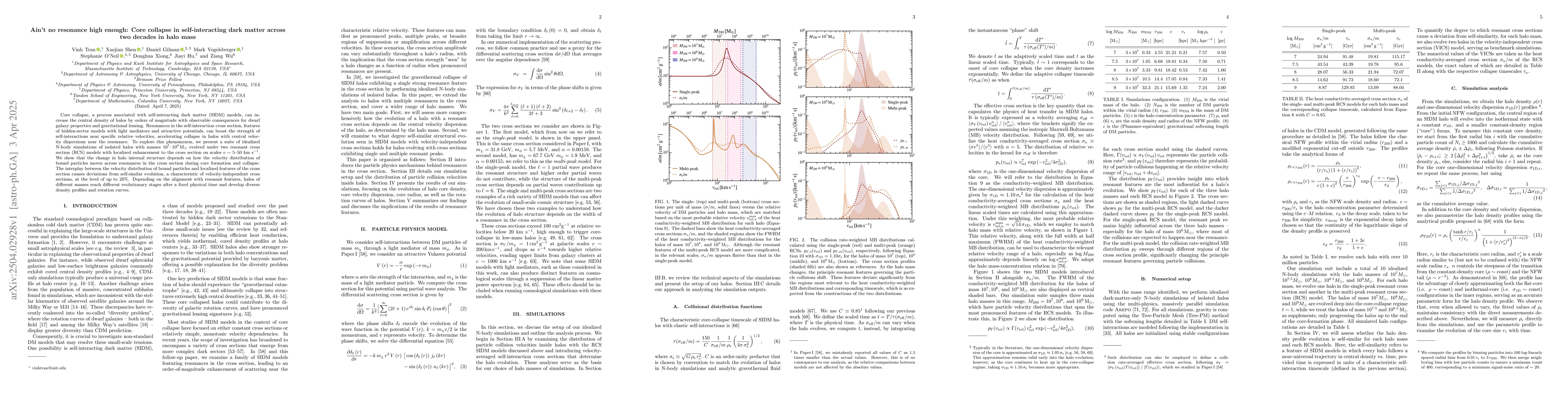 Thumbnail for Ain't no resonance high enough: Core collapse in self-interacting dark
  matter across two decades in halo mass