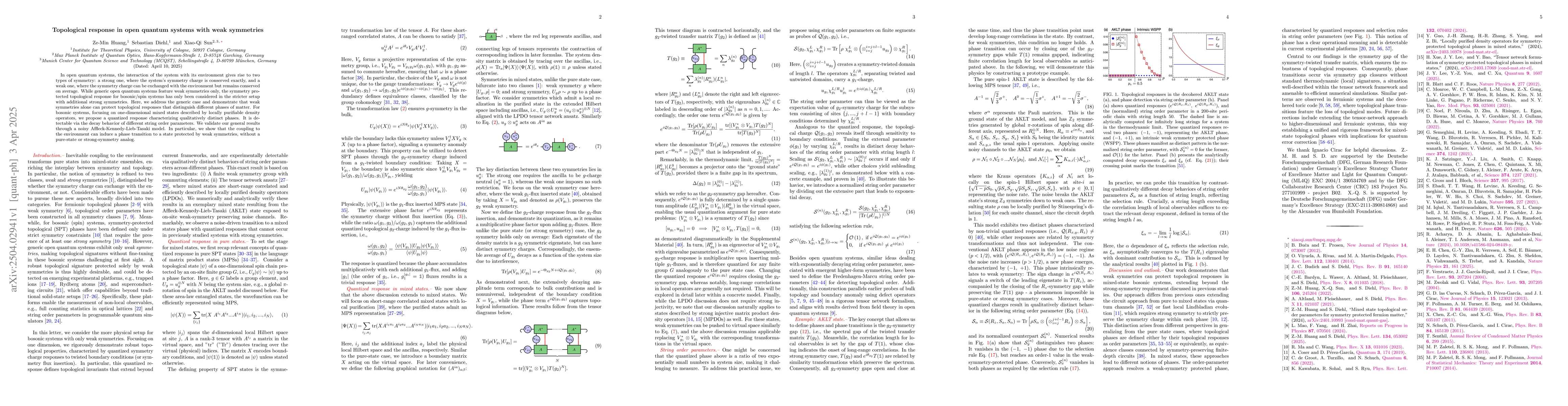 Thumbnail for Topological response in open quantum systems with weak symmetries