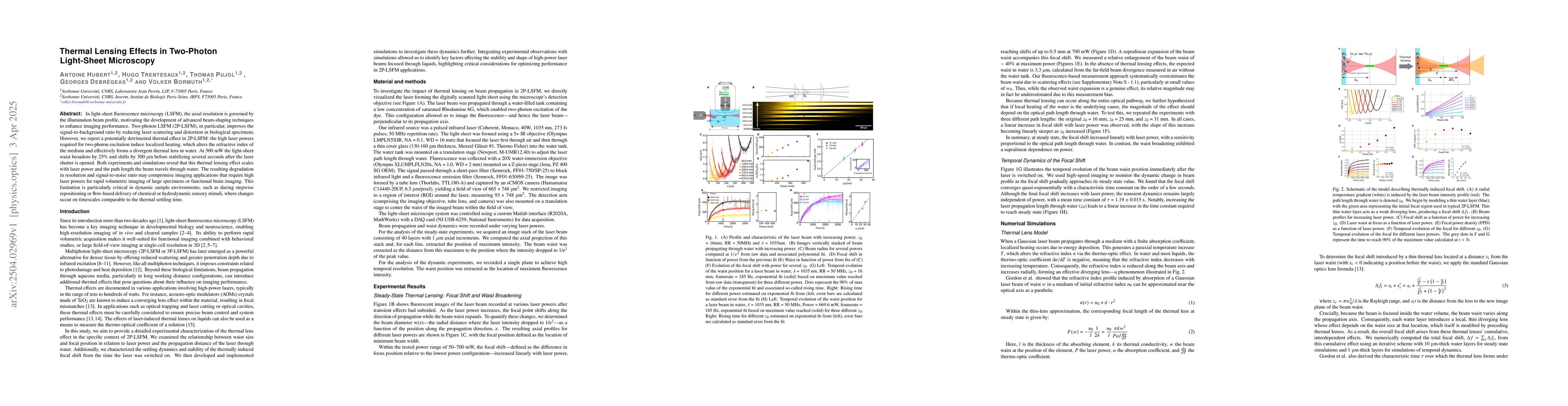 Thumbnail for Thermal Lensing Effects in Two-Photon Light-Sheet Microscopy