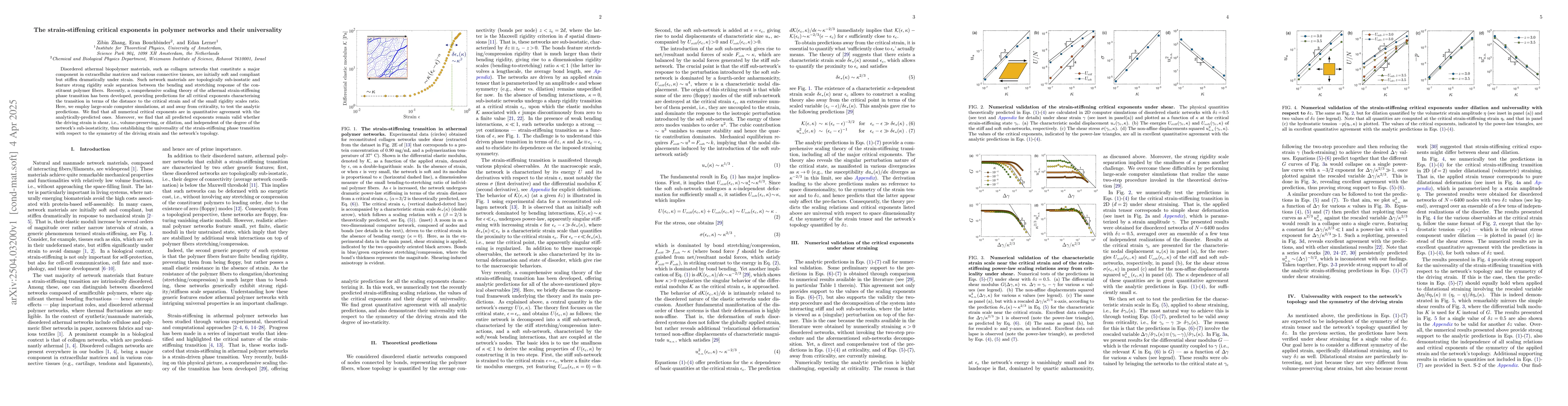 Thumbnail for The strain-stiffening critical exponents in polymer networks and their
  universality