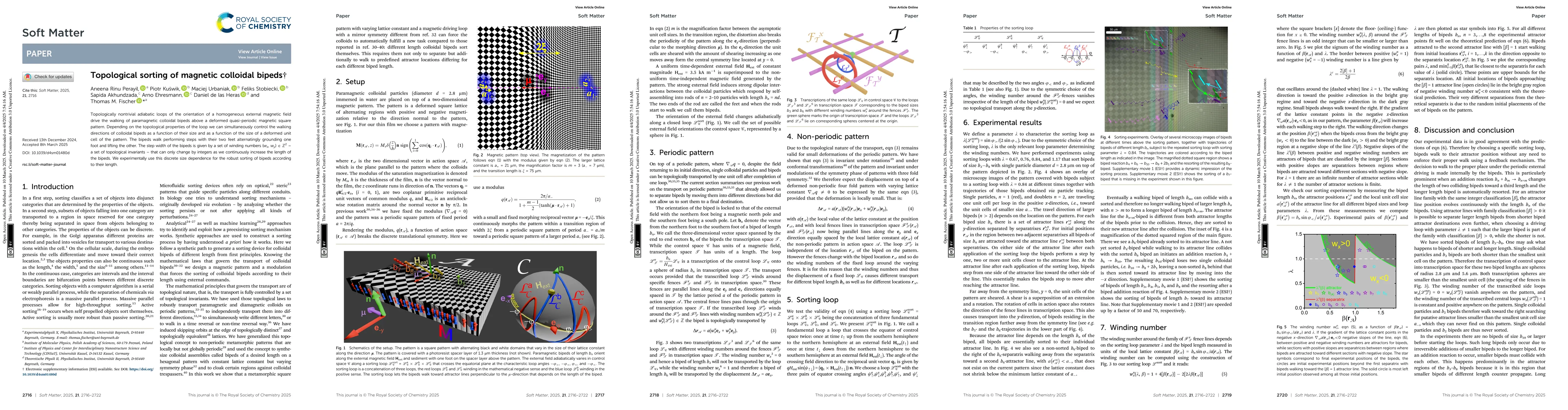 Thumbnail for Topological sorting of magnetic colloidal bipeds