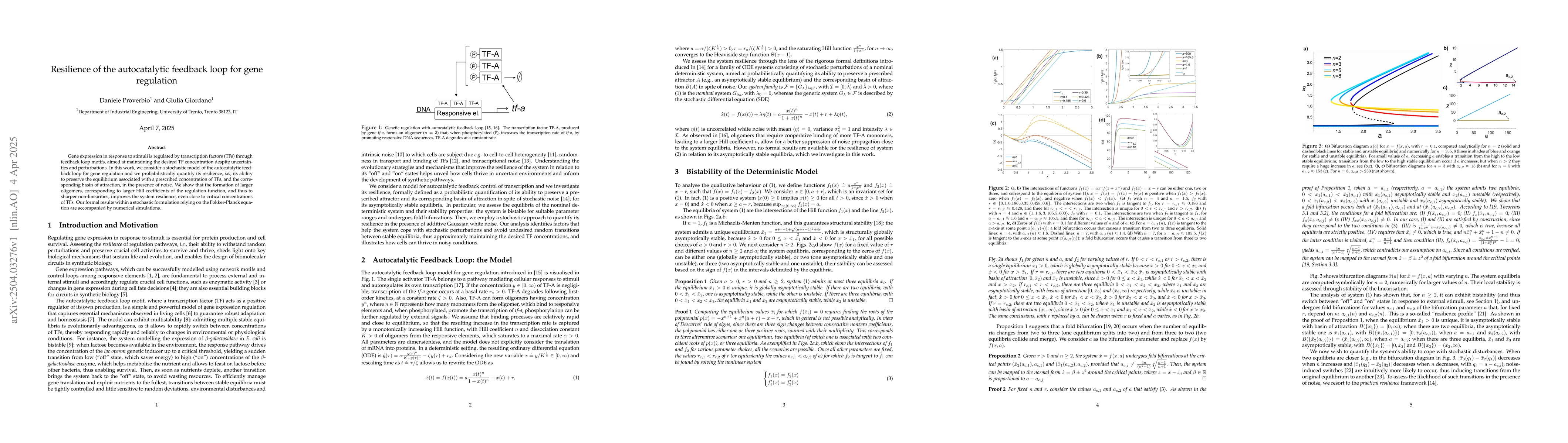 Thumbnail for Resilience of the autocatalytic feedback loop for gene regulation