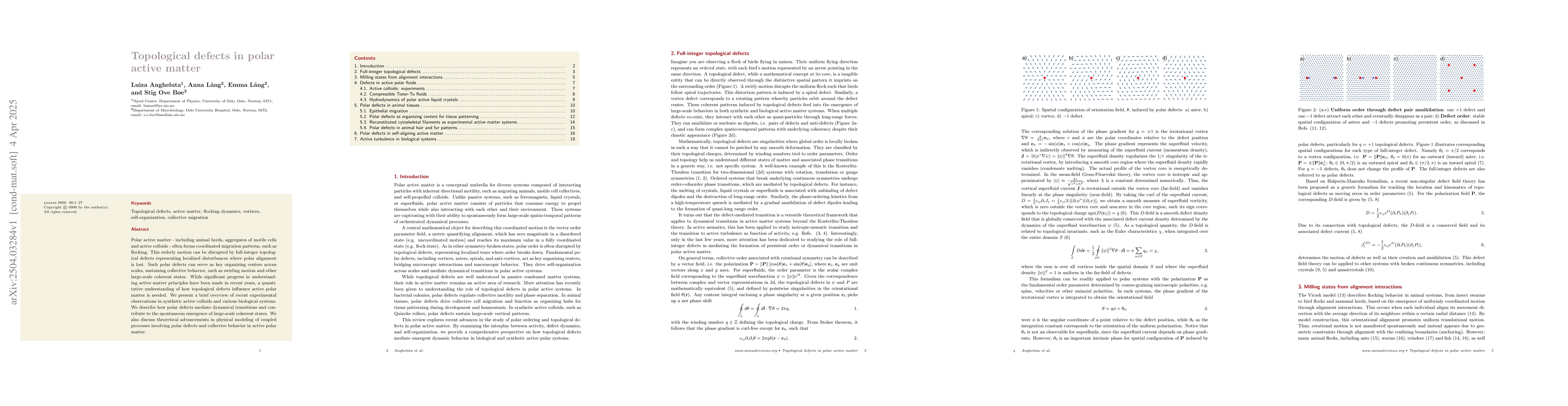 Thumbnail for Topological defects in polar active matter