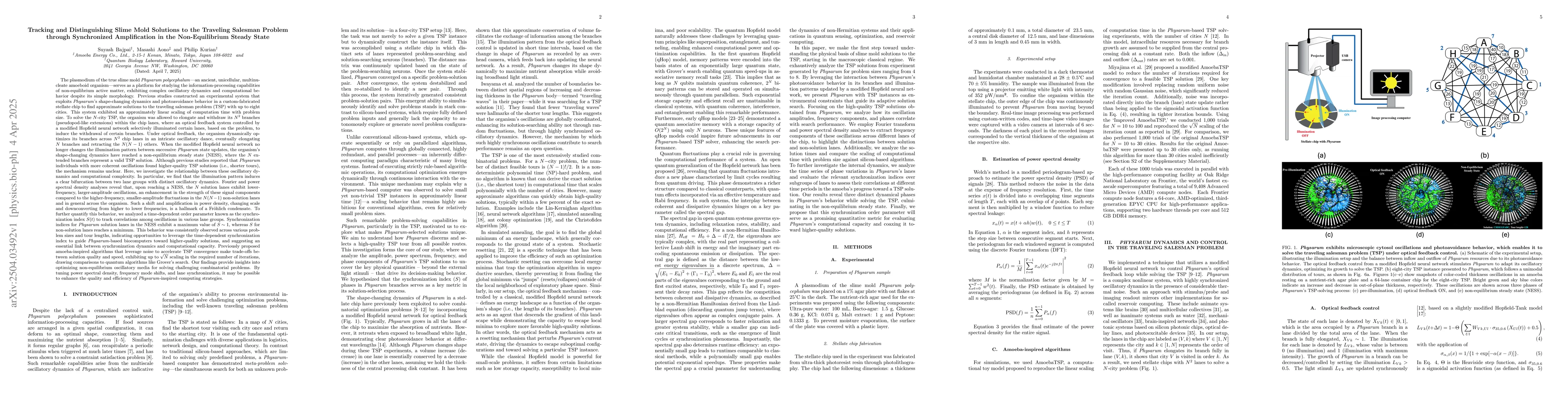 Thumbnail for Tracking and Distinguishing Slime Mold Solutions to the Traveling
  Salesman Problem through Synchronized Amplification in the Non-Equilibrium
  Steady State