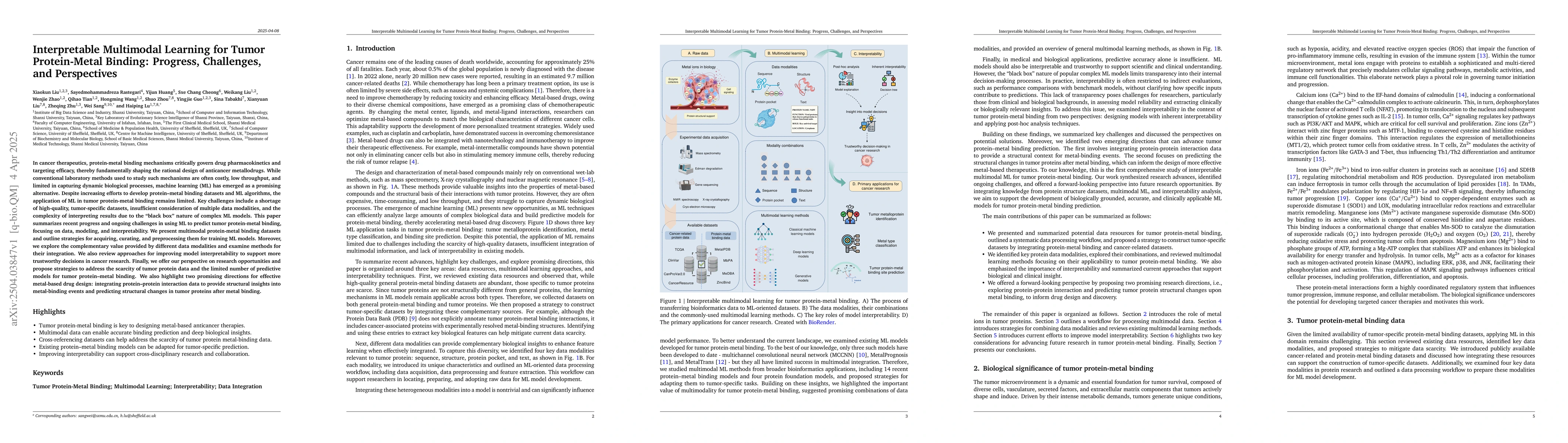 Thumbnail for Interpretable Multimodal Learning for Tumor Protein-Metal Binding:
  Progress, Challenges, and Perspectives