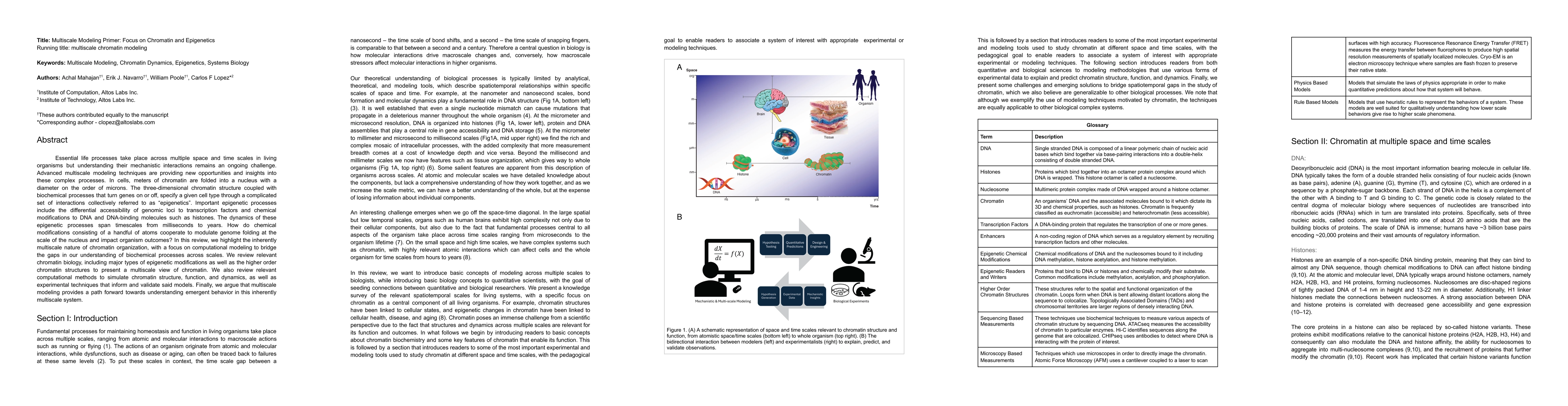 Thumbnail for Multiscale Modeling Primer: Focus on Chromatin and Epigenetics