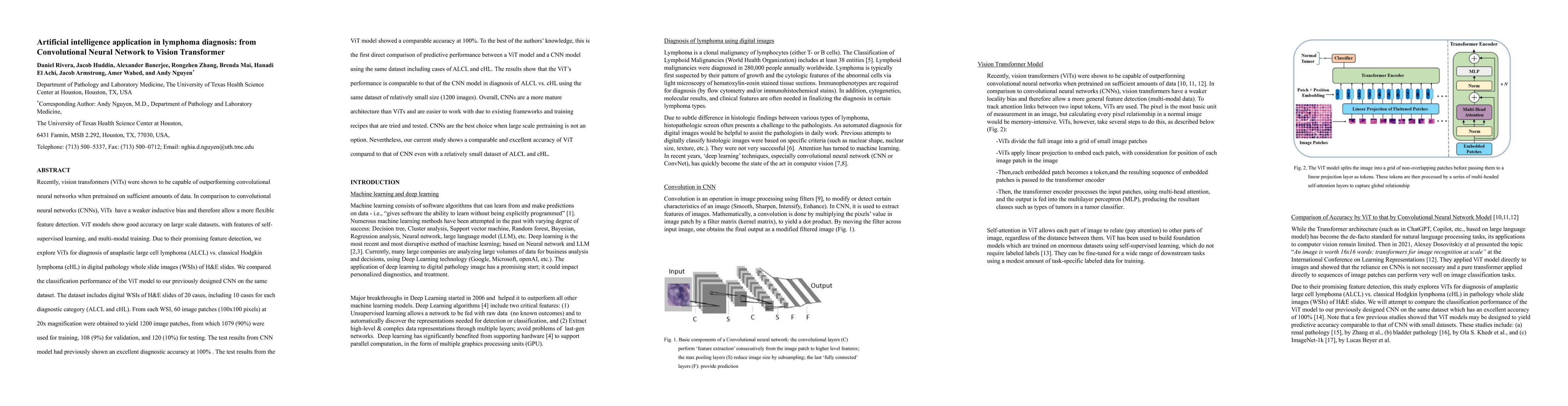 Thumbnail for Artificial intelligence application in lymphoma diagnosis: from
  Convolutional Neural Network to Vision Transformer