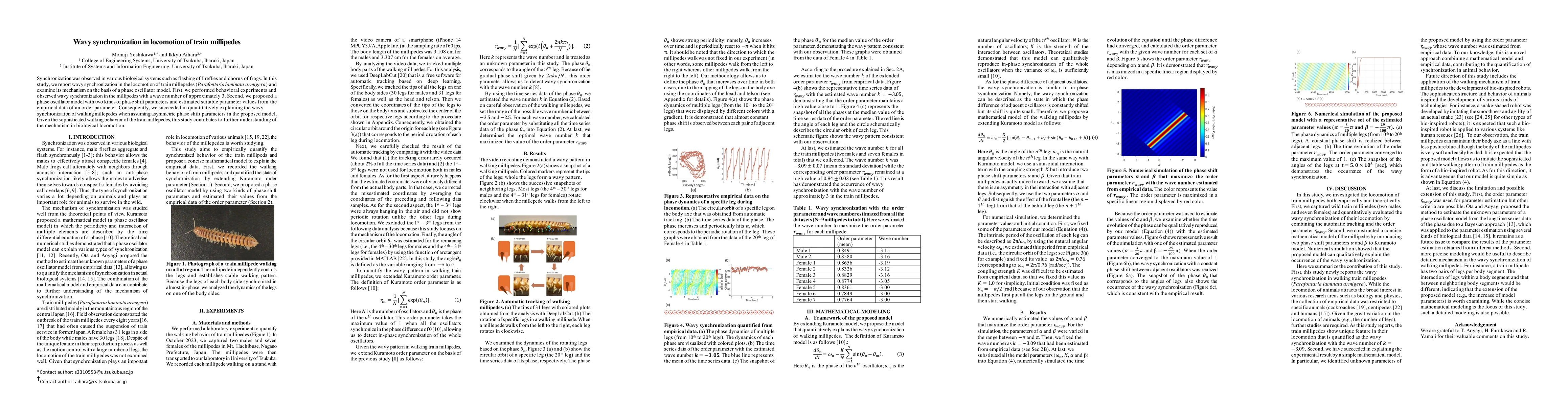 Thumbnail for Wavy synchronization in locomotion of train millipedes