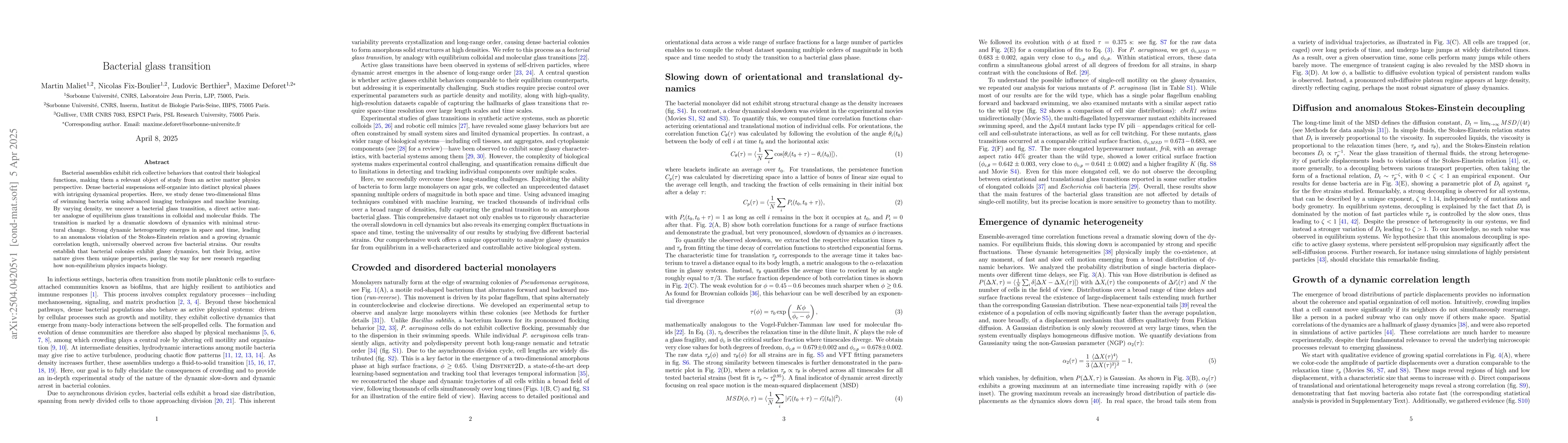 Thumbnail for Bacterial Glass Transition