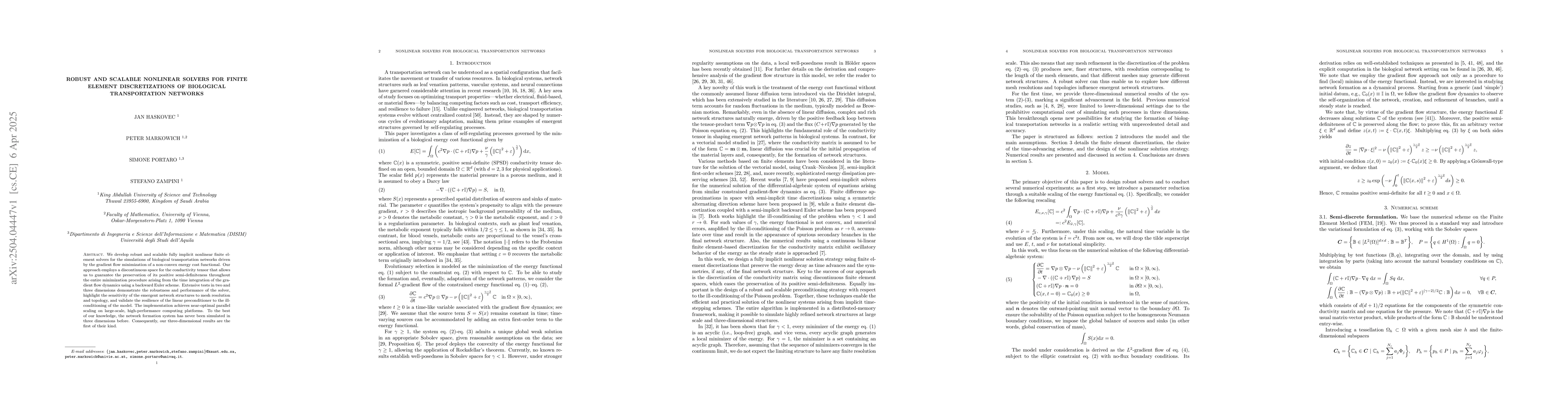 Thumbnail for Robust and scalable nonlinear solvers for finite element discretizations
  of biological transportation networks