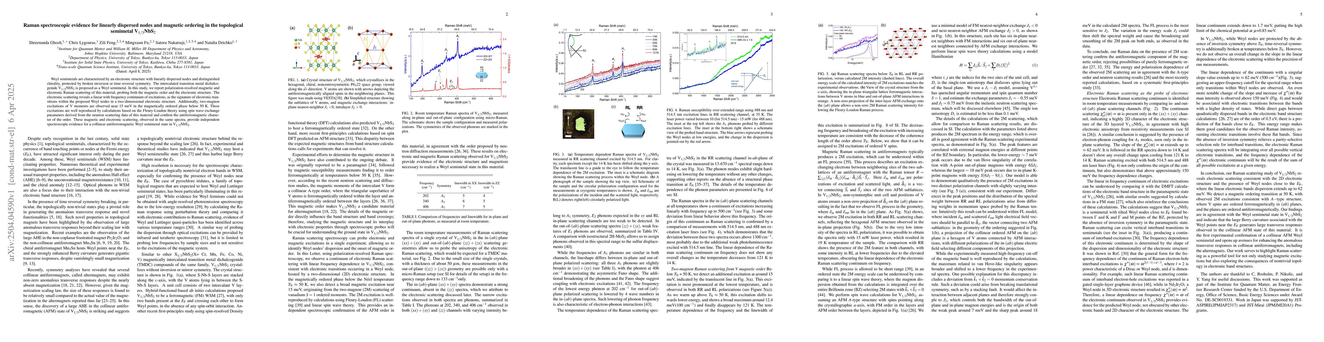 Thumbnail for Raman spectroscopic evidence for linearly dispersed nodes and magnetic
  ordering in the topological semimetal V$_{1/3}$NbS$_2$