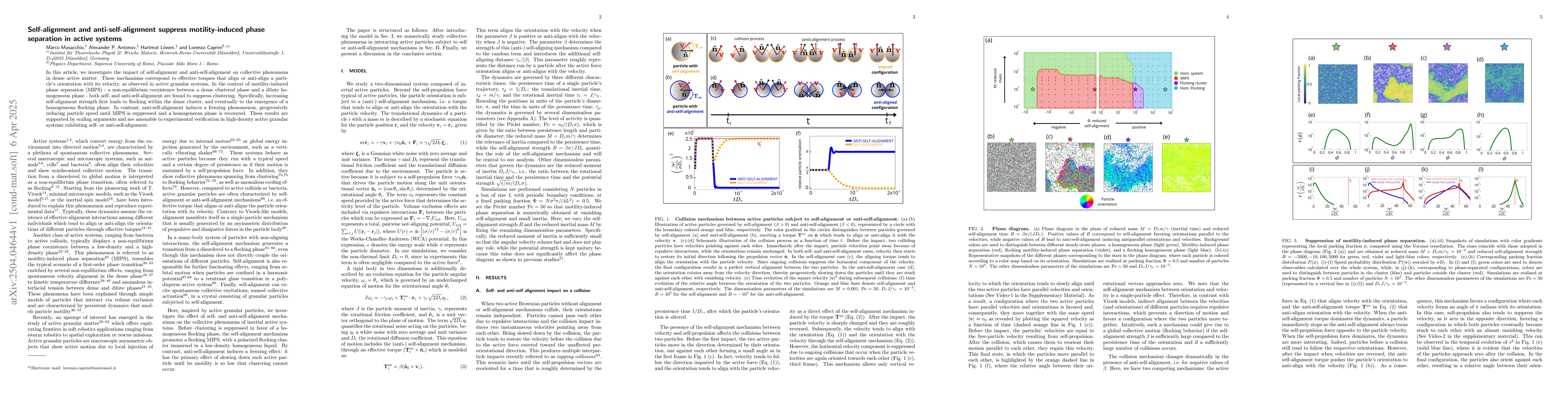 Thumbnail for Self-alignment and anti-self-alignment suppress motility-induced phase
  separation in active systems