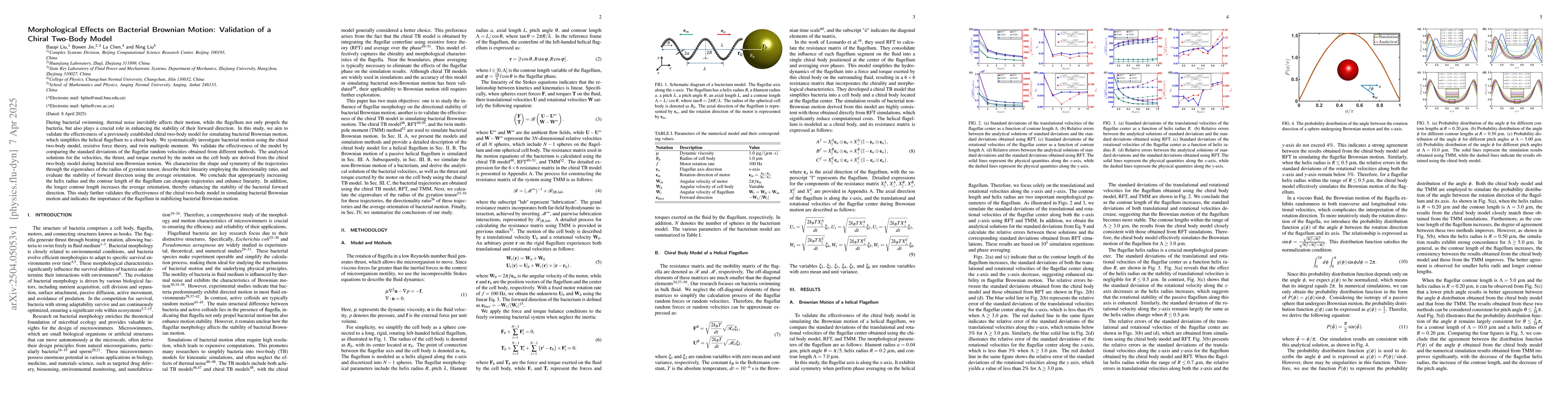 Thumbnail for Morphological Effects on Bacterial Brownian Motion: Validation of a
  Chiral Two-Body Model