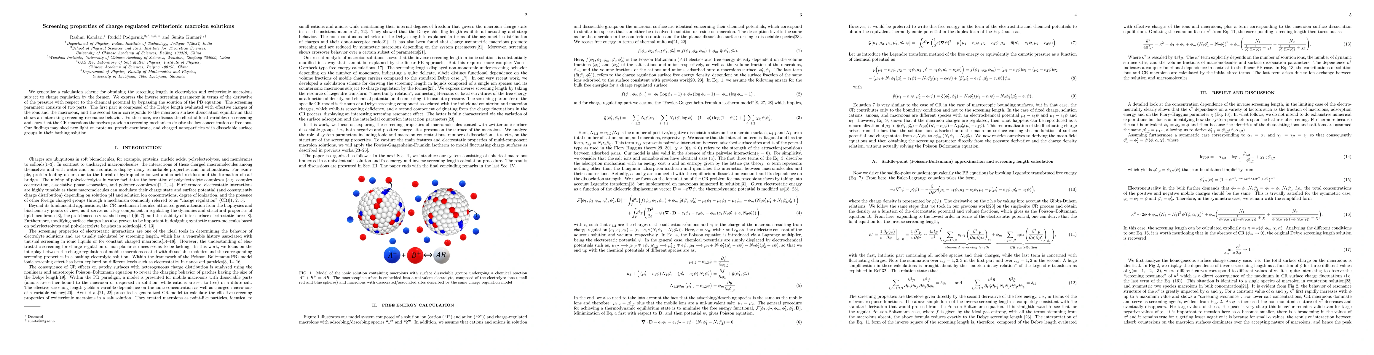 Thumbnail for Screening properties of charge regulated zwitterionic macroion solutions