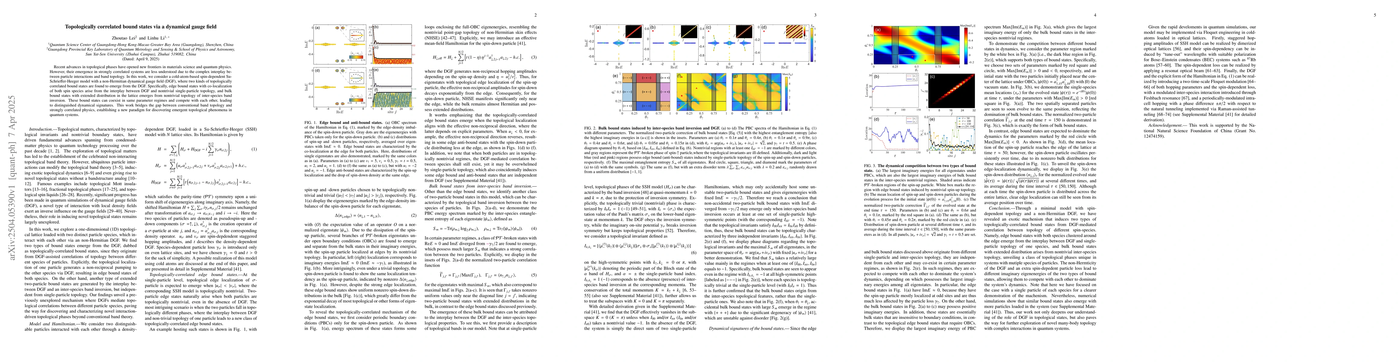 Thumbnail for Topologically correlated bound states via a dynamical gauge field