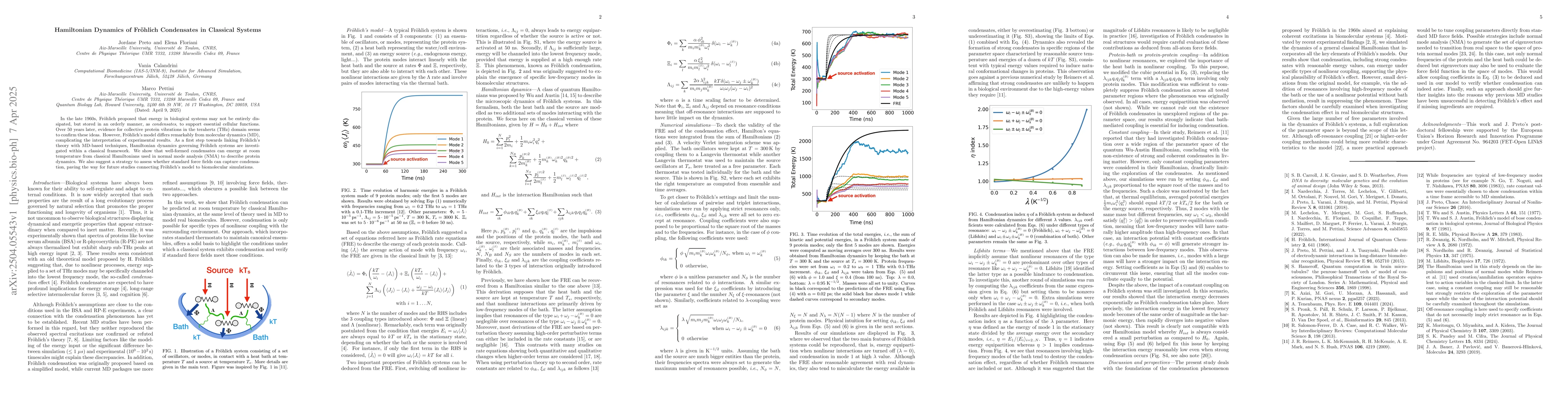 Thumbnail for Hamiltonian Dynamics of Fröhlich Condensates in Classical Systems