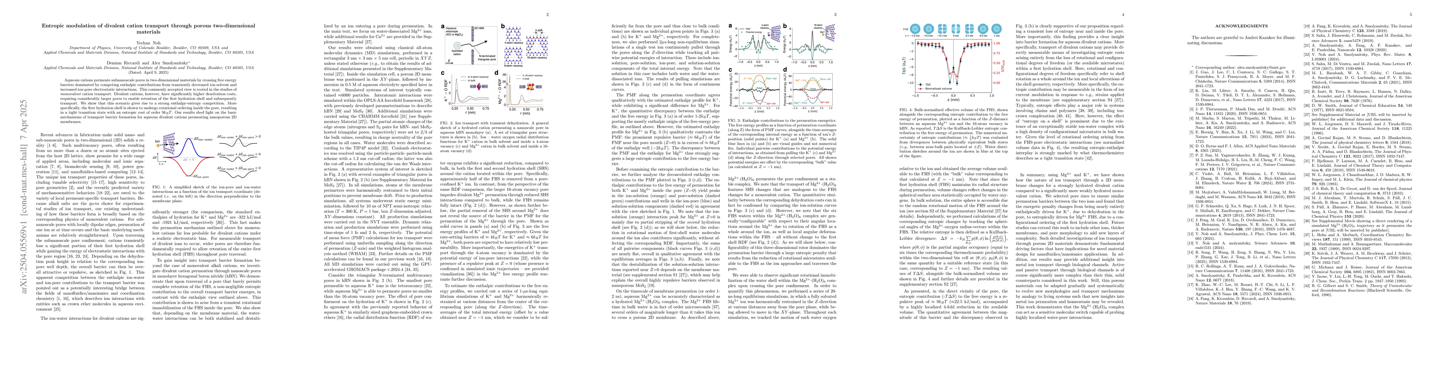 Thumbnail for Entropic modulation of divalent cation transport through porous
  two-dimensional materials