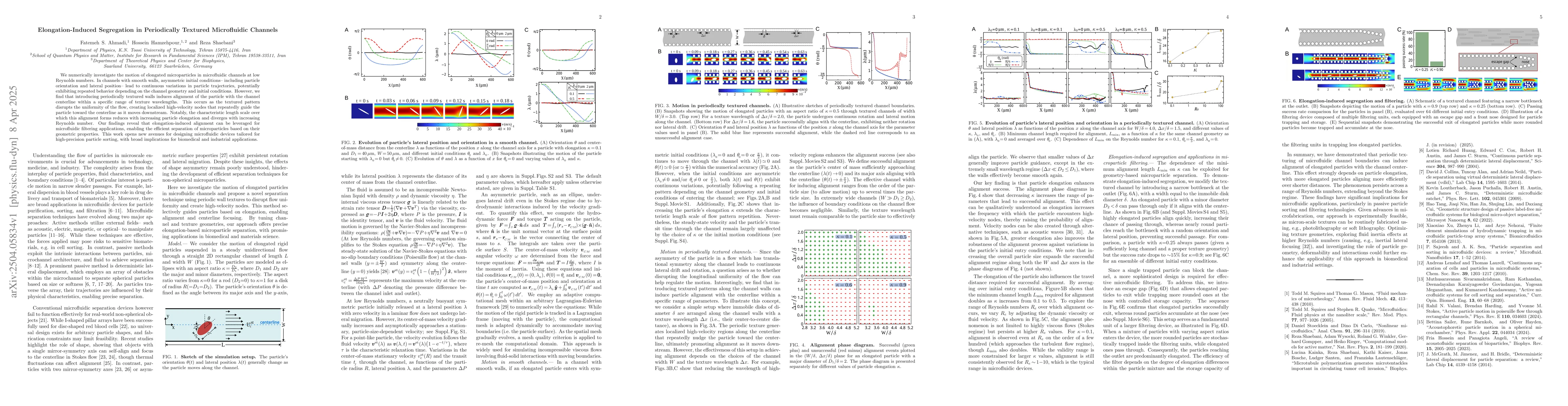 Thumbnail for Elongation-Induced Segregation in Periodically Textured Microfluidic
  Channels