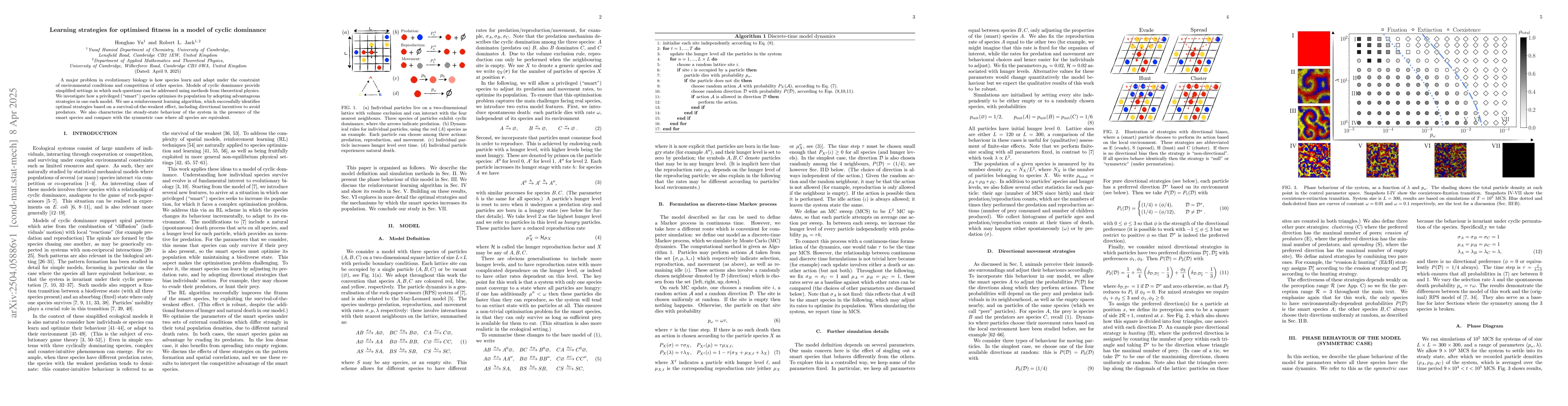 Thumbnail for Learning strategies for optimised fitness in a model of cyclic dominance
