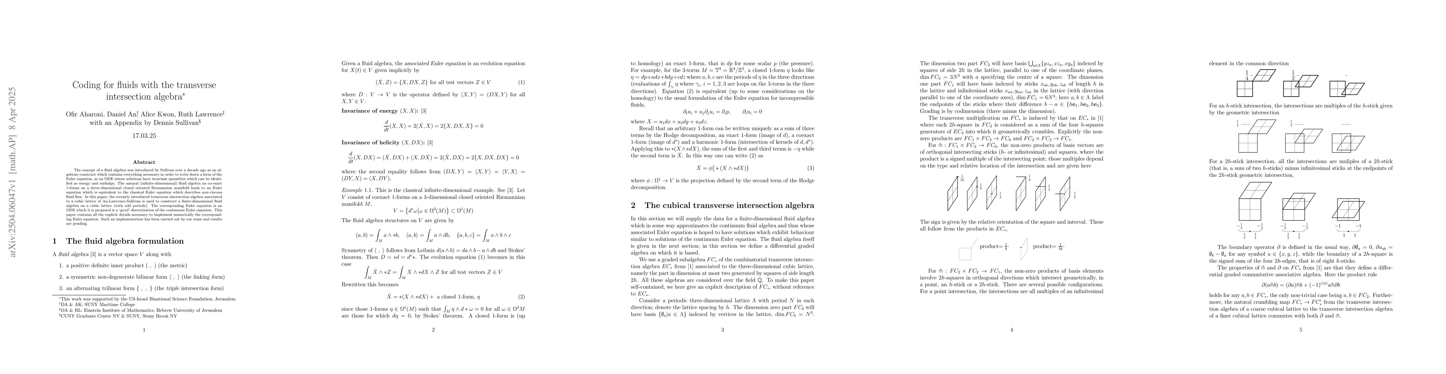 Thumbnail for Coding with the transverse intersection algebra