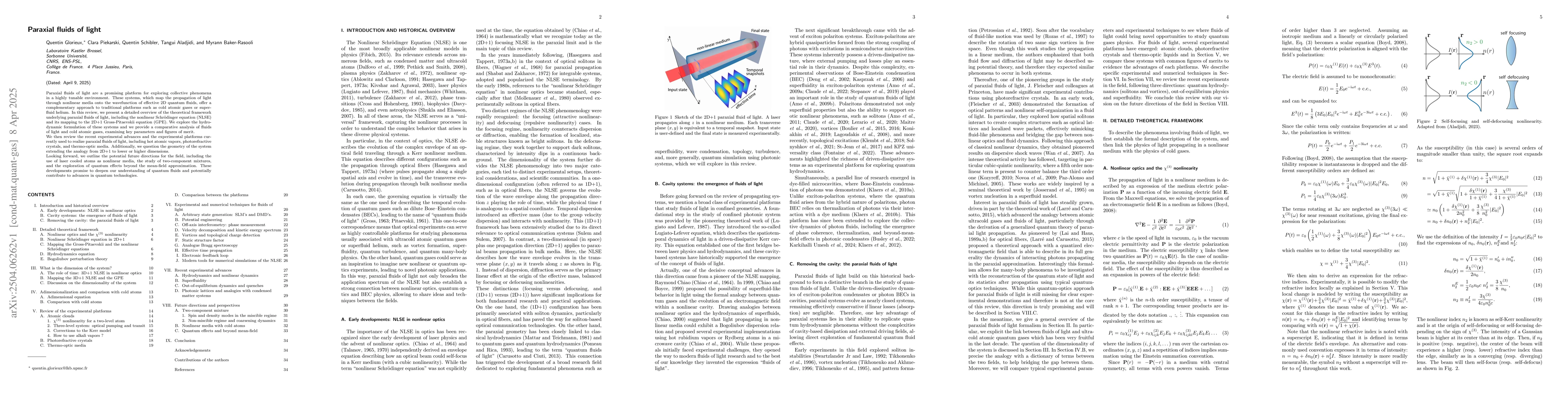 Thumbnail for Paraxial fluids of light