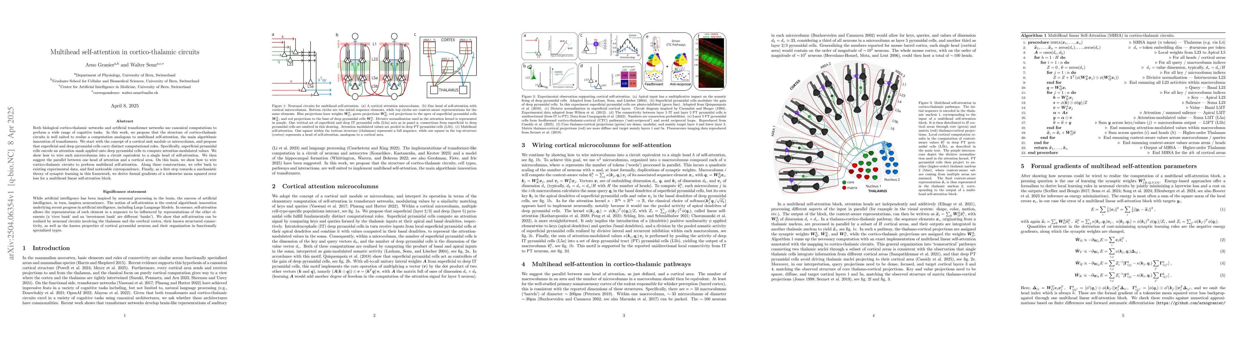 Thumbnail for Multihead self-attention in cortico-thalamic circuits