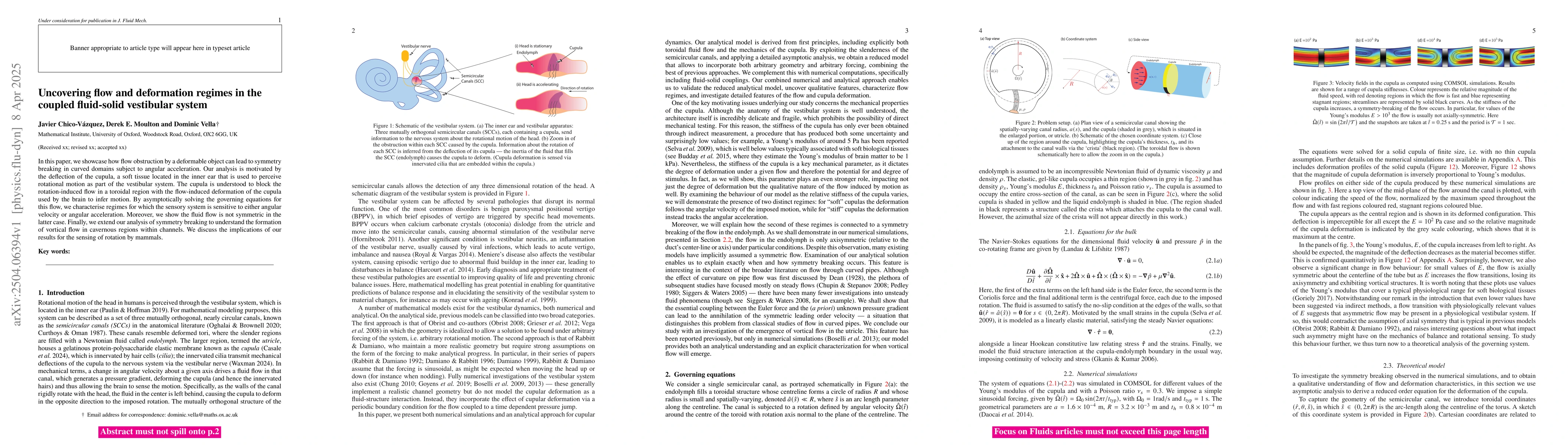 Thumbnail for Uncovering flow and deformation regimes in the coupled fluid-solid
  vestibular system
