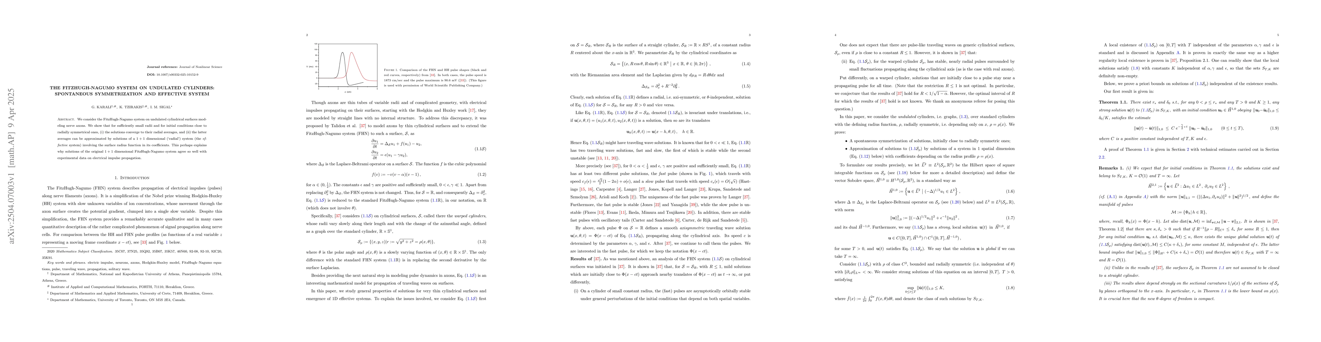 Thumbnail for The FitzHugh-Nagumo system on undulated cylinders: spontaneous
  symmetrization and effective system