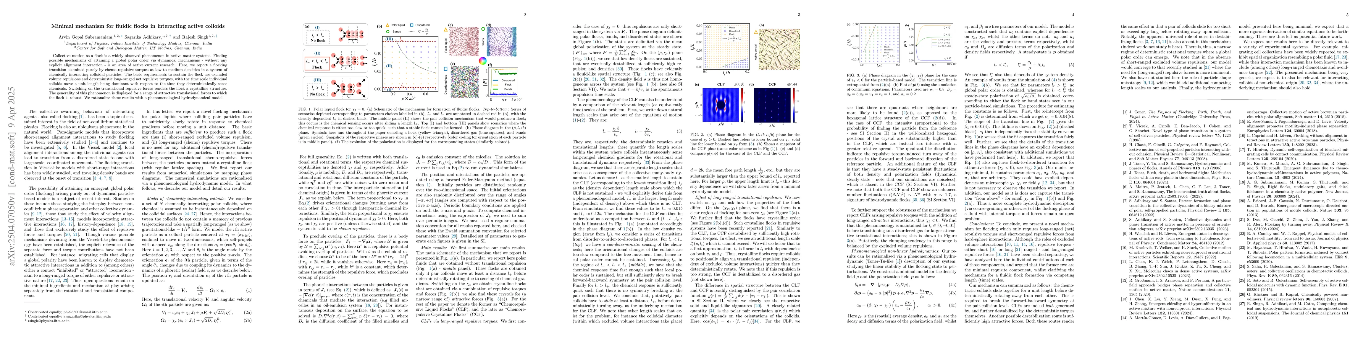 Thumbnail for Minimal mechanism for fluidic flocks in interacting active colloids