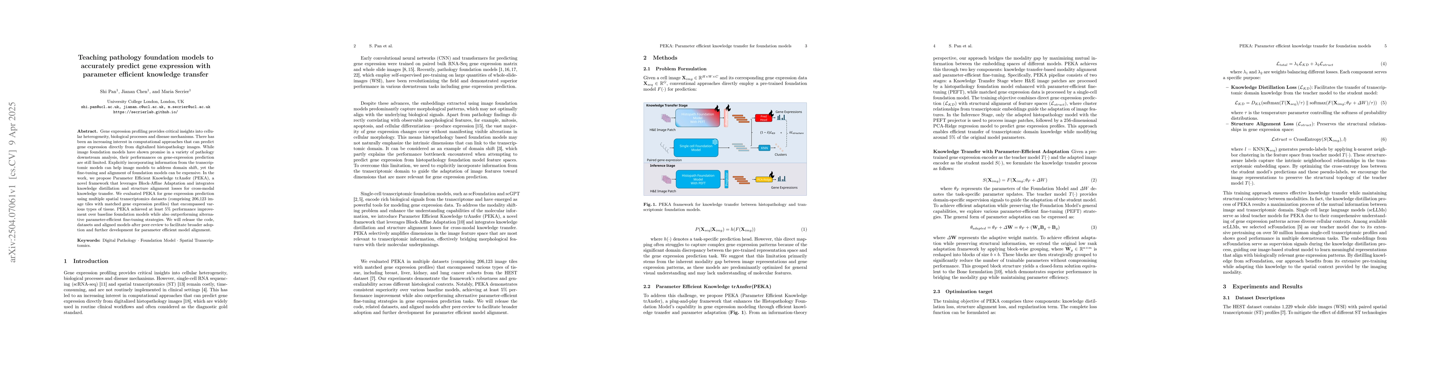 Thumbnail for Teaching pathology foundation models to accurately predict gene
  expression with parameter efficient knowledge transfer