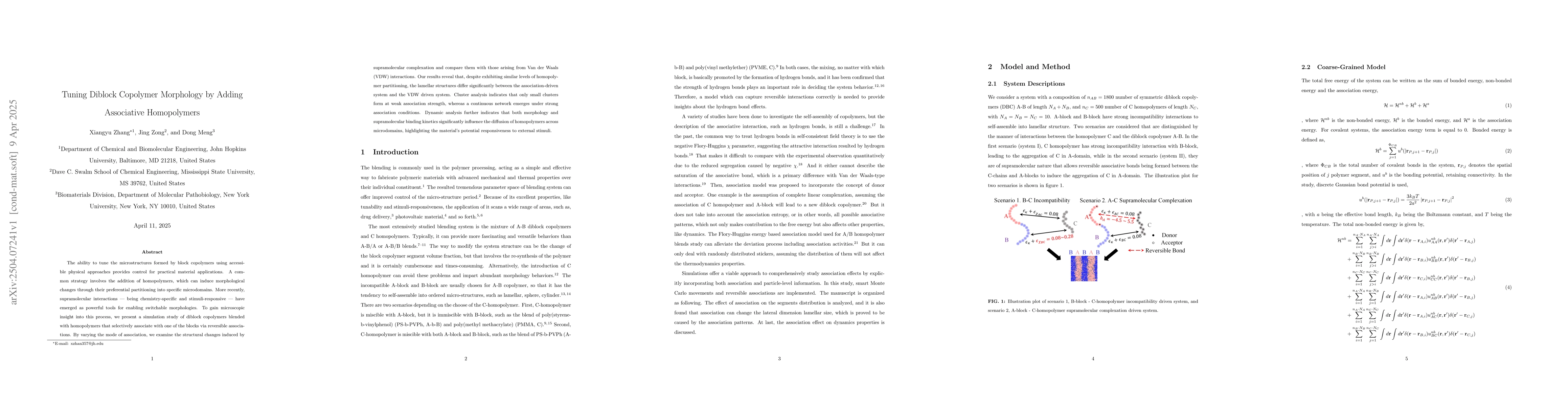 Thumbnail for Tuning Diblock Copolymer Morphology by Adding Associative Homopolymers