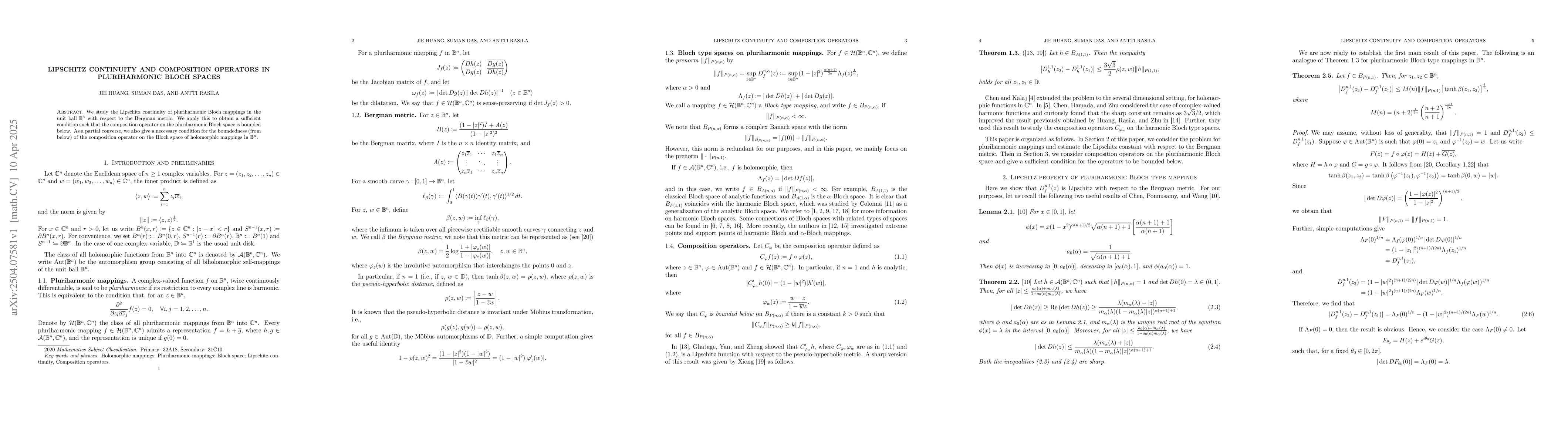 Thumbnail for Lipschitz continuity and composition operators in pluriharmonic Bloch
  spaces