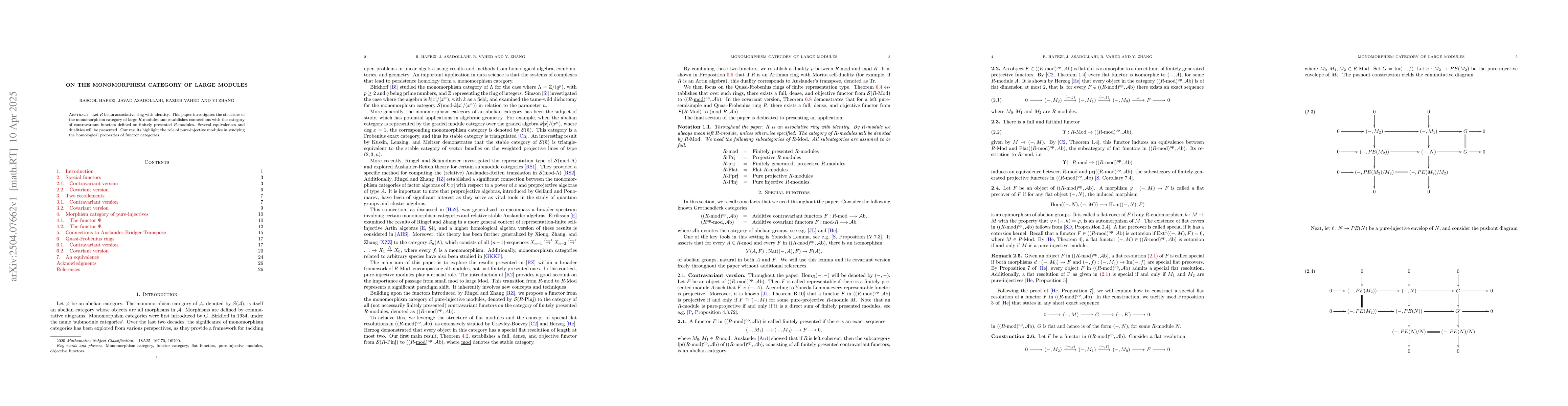 Thumbnail for On the monomorphism category of large modules