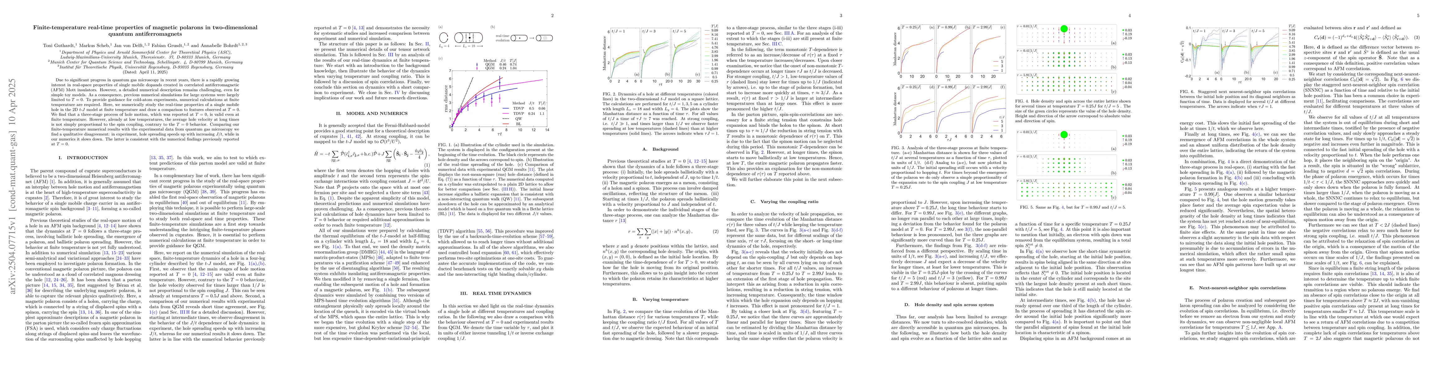 Thumbnail for Finite-temperature real-time properties of magnetic polarons in
  two-dimensional quantum antiferromagnets