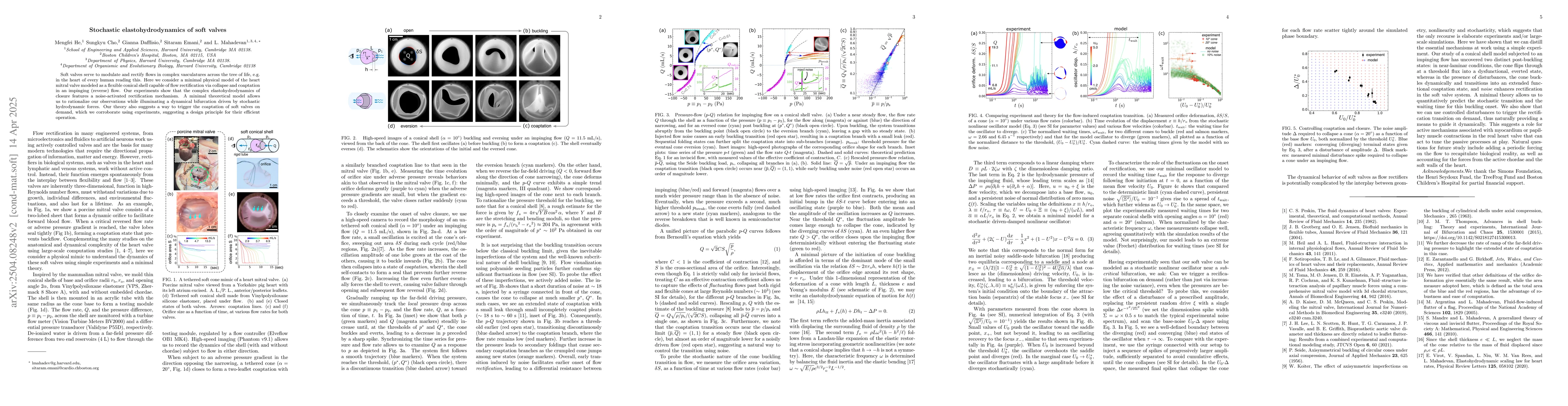 Thumbnail for Stochastic elastohydrodynamics of soft valves