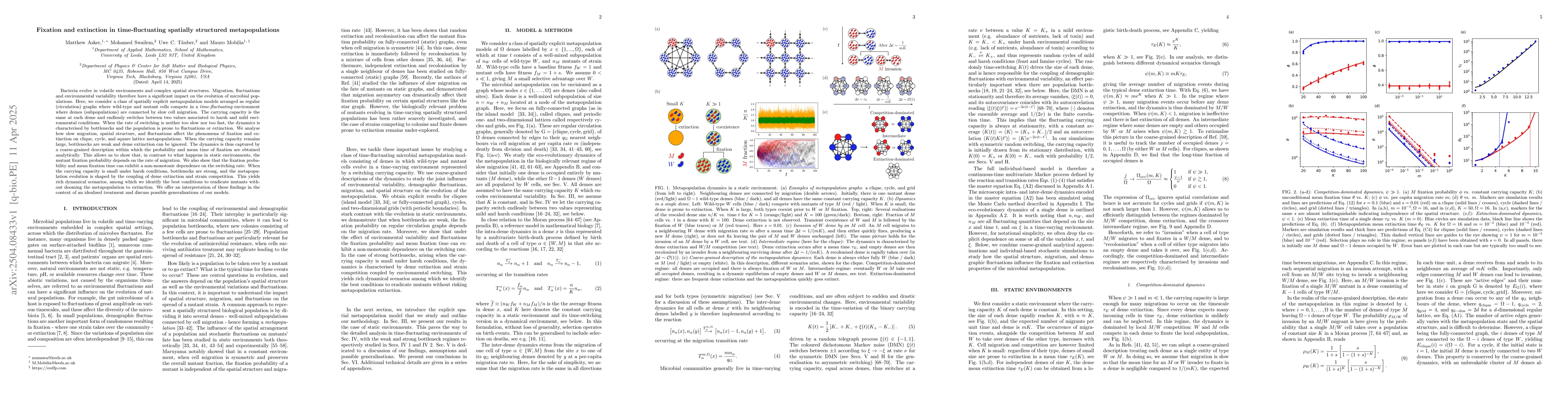 Thumbnail for Fixation and extinction in time-fluctuating spatially structured
  metapopulations