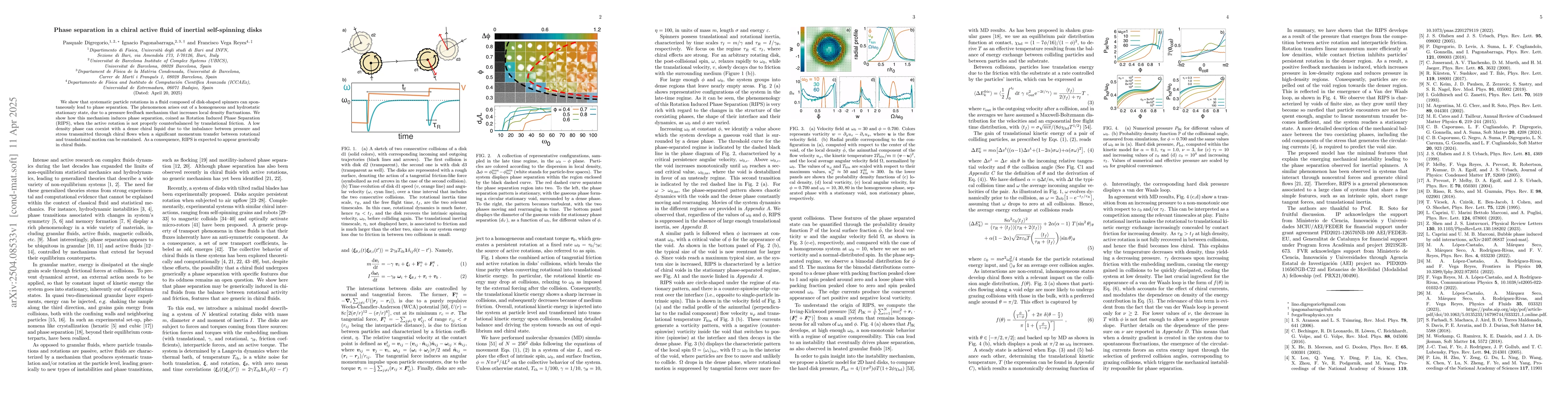 Thumbnail for Phase separation in a chiral active fluid of inertial self-spinning
  disks