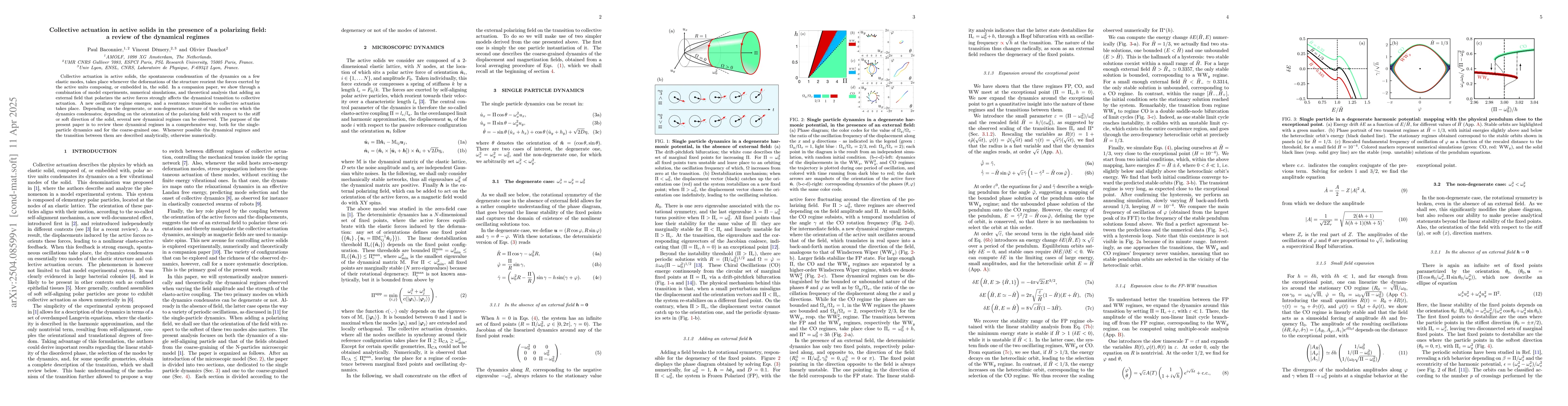 Thumbnail for Collective actuation in active solids in the presence of a polarizing
  field: a review of the dynamical regimes