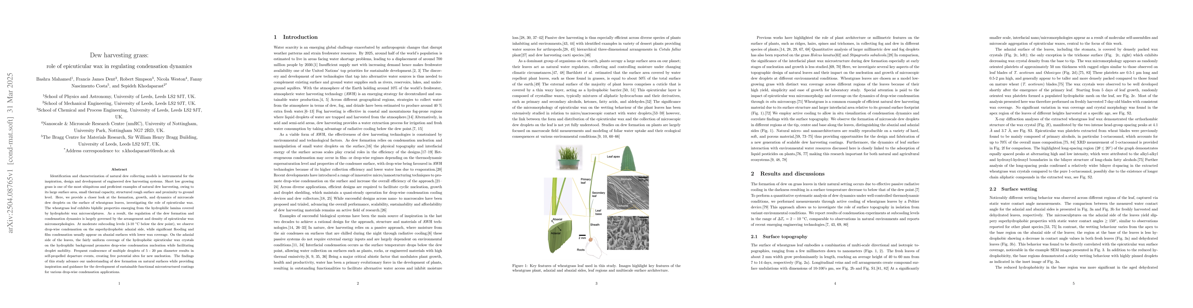 Thumbnail for Dew harvesting grass: role of epicuticular wax in regulating
  condensation dynamics