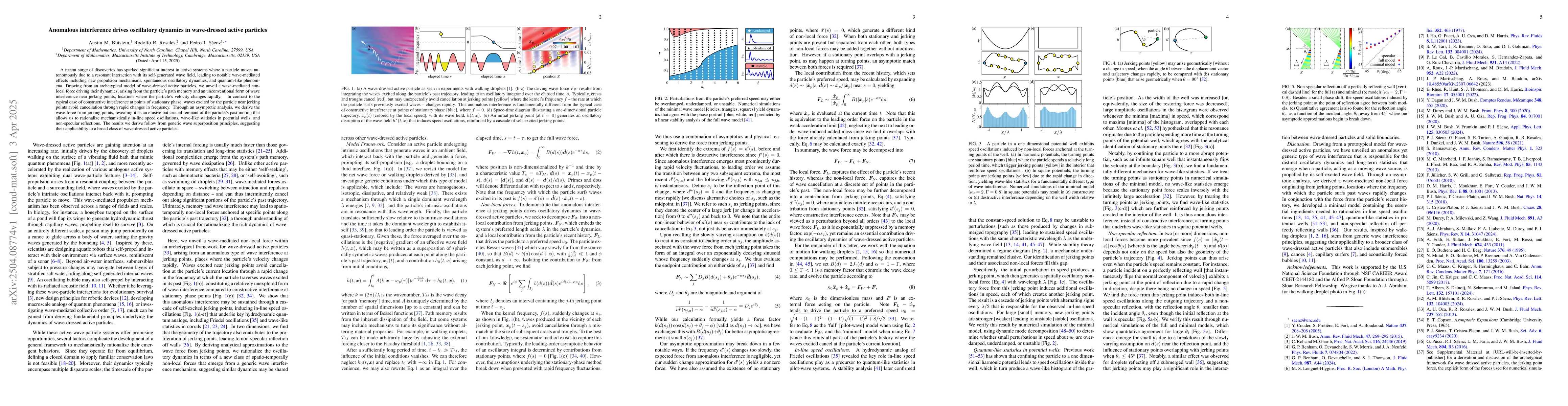 Thumbnail for Anomalous interference drives oscillatory dynamics in wave-dressed
  active particles