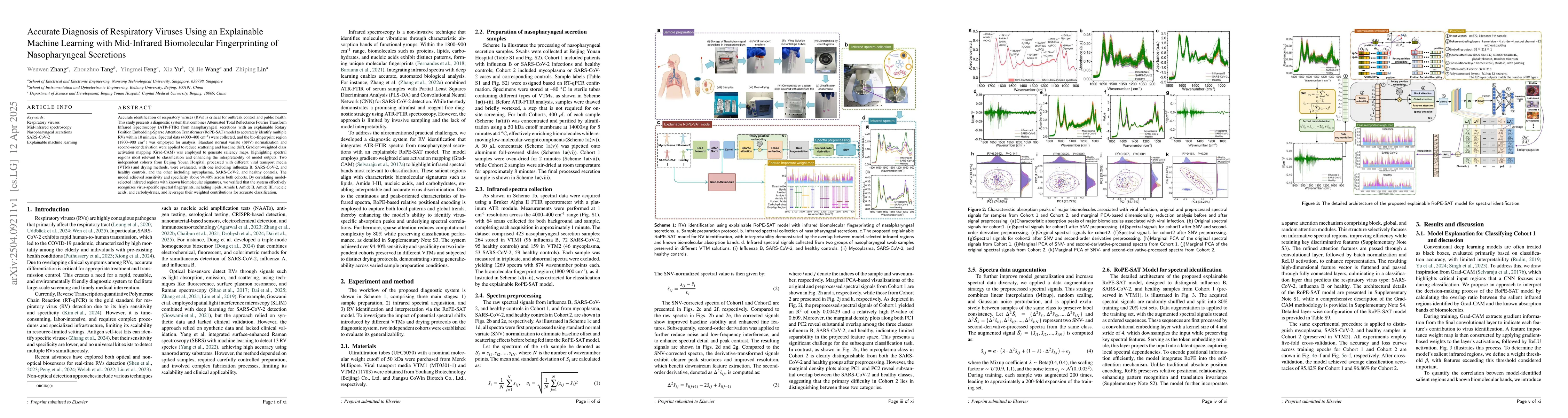 Thumbnail for Accurate Diagnosis of Respiratory Viruses Using an Explainable Machine
  Learning with Mid-Infrared Biomolecular Fingerprinting of Nasopharyngeal
  Secretions