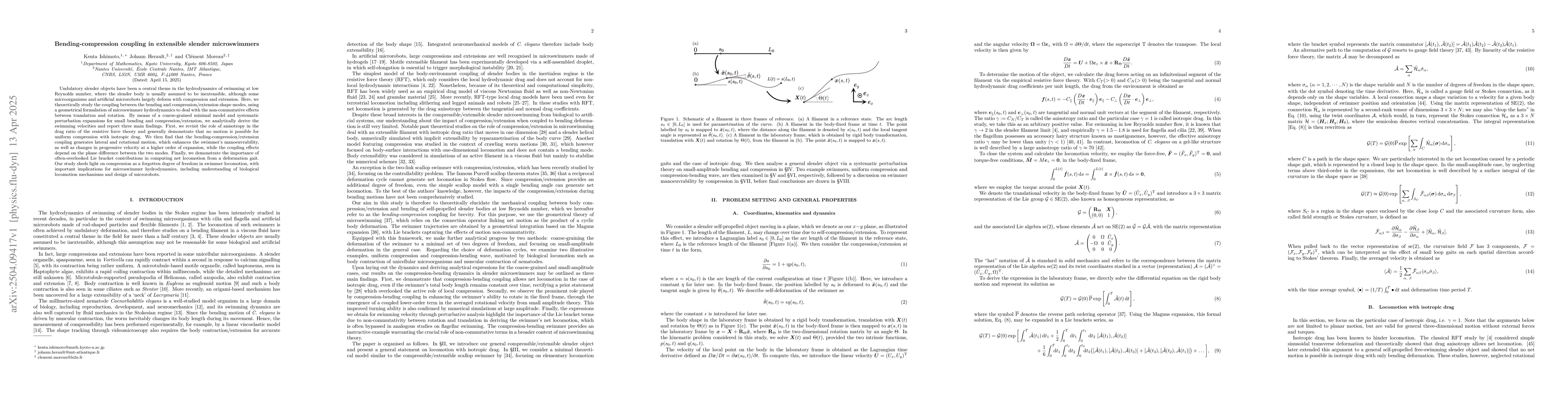 Thumbnail for Bending-compression coupling in extensible slender microswimmers