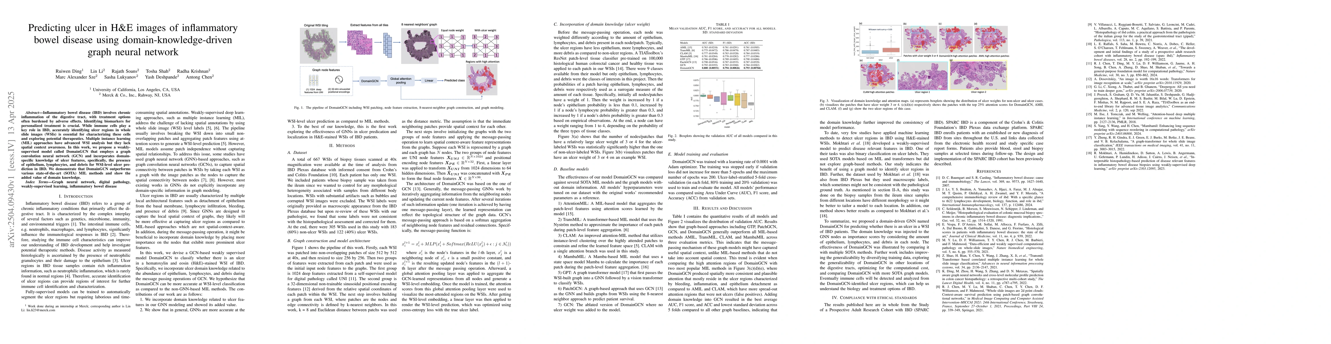 Thumbnail for Predicting ulcer in H&E images of inflammatory bowel disease using
  domain-knowledge-driven graph neural network