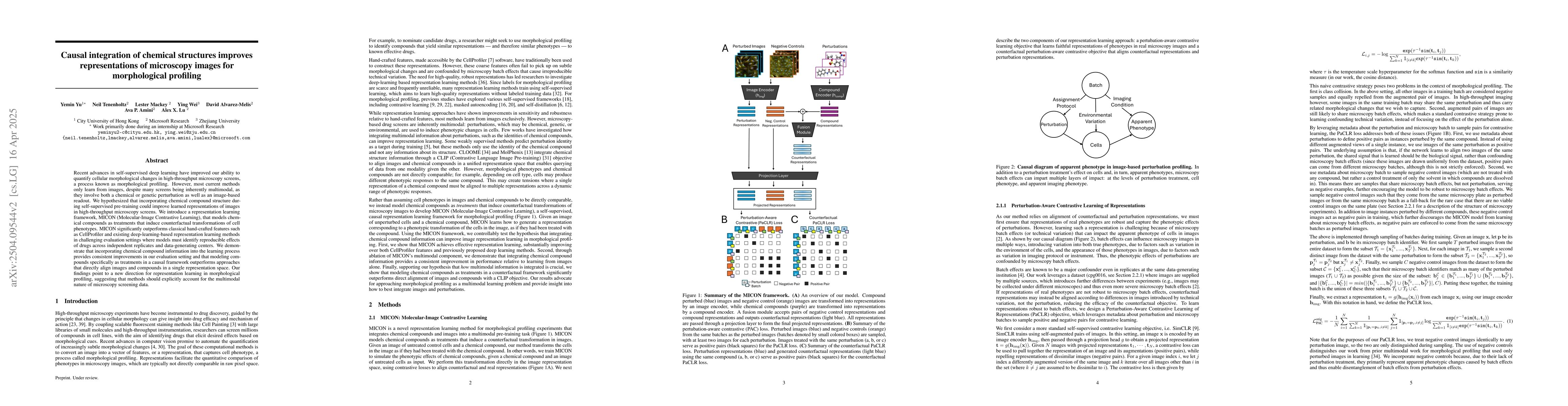 Thumbnail for Causal integration of chemical structures improves representations of
  microscopy images for morphological profiling
