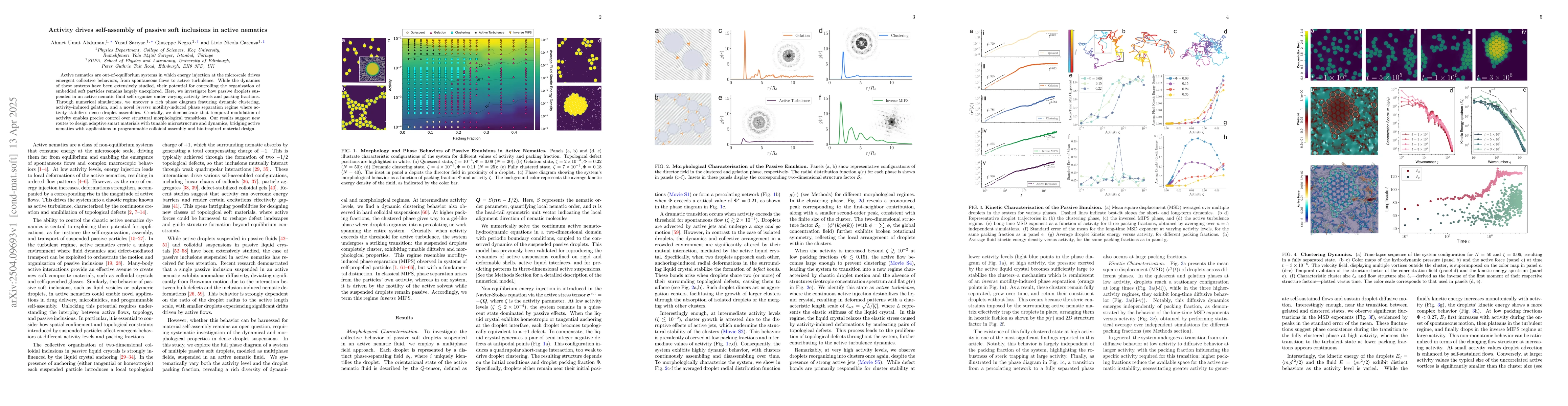 Thumbnail for Activity drives self-assembly of passive soft inclusions in active
  nematics