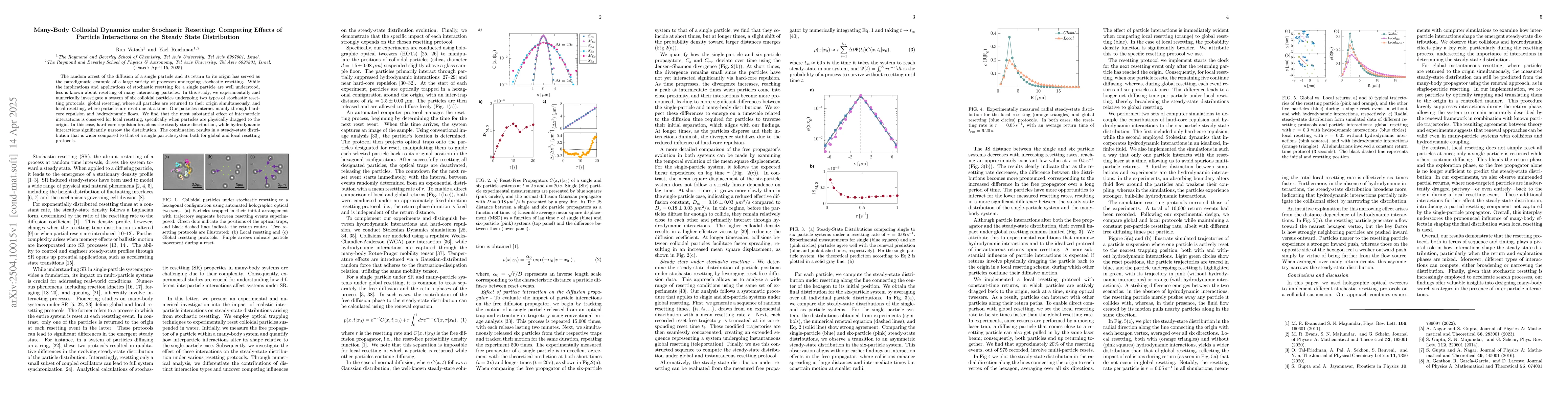 Thumbnail for Many-Body Colloidal Dynamics under Stochastic Resetting: Competing
  Effects of Particle Interactions on the Steady State Distribution
