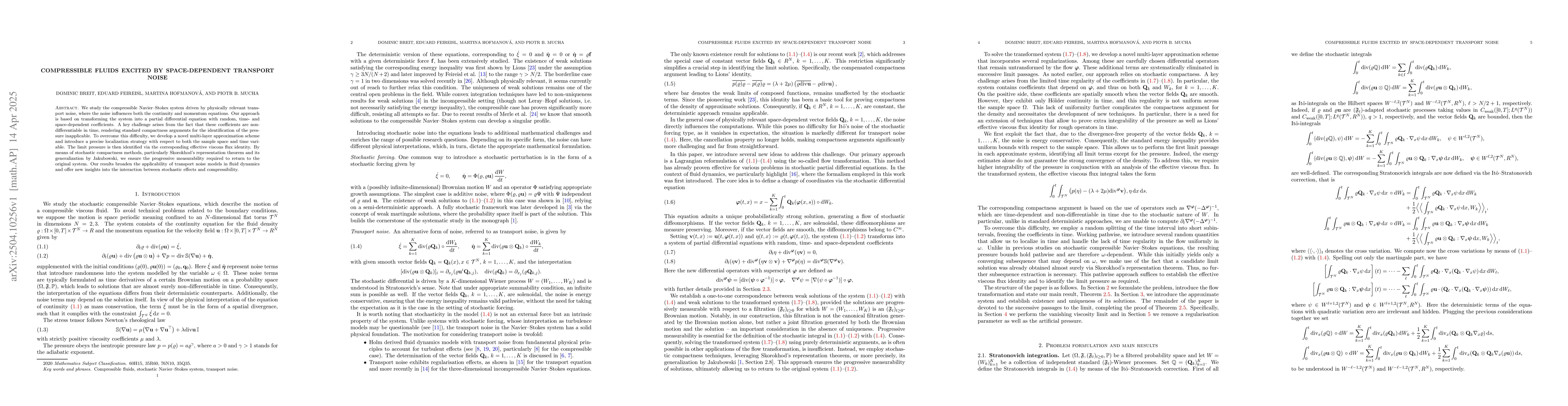 Thumbnail for Compressible fluids excited by space-dependent transport noise