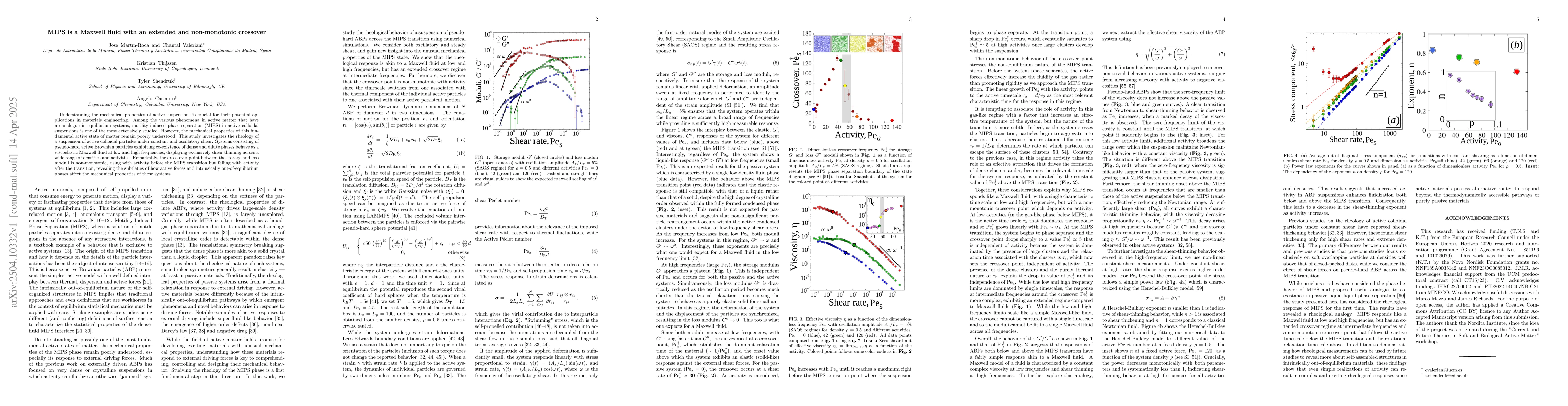 Thumbnail for MIPS is a Maxwell fluid with an extended and non-monotonic crossover