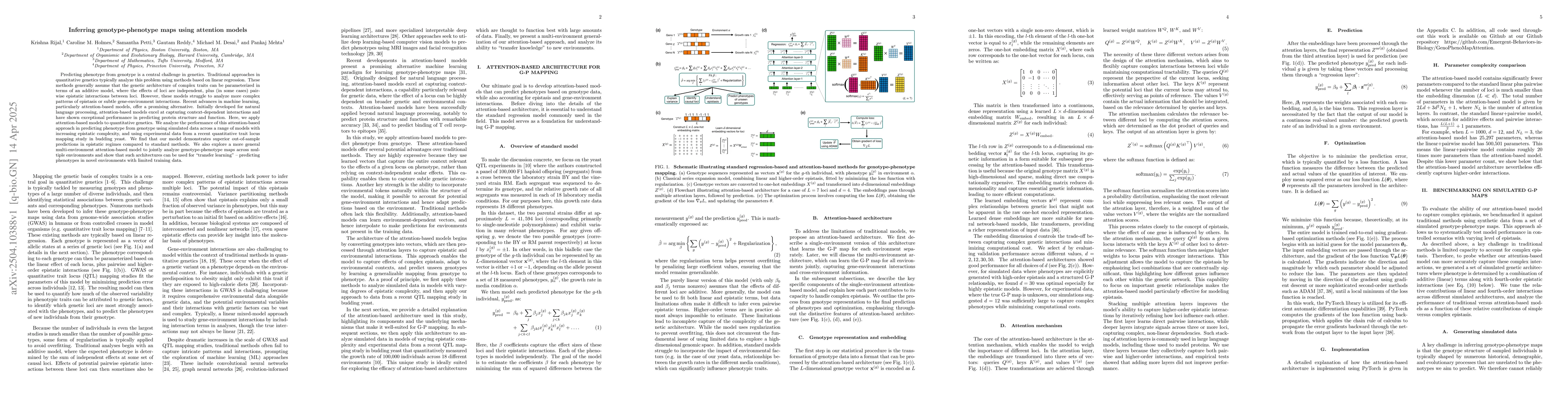 Thumbnail for Inferring genotype-phenotype maps using attention models