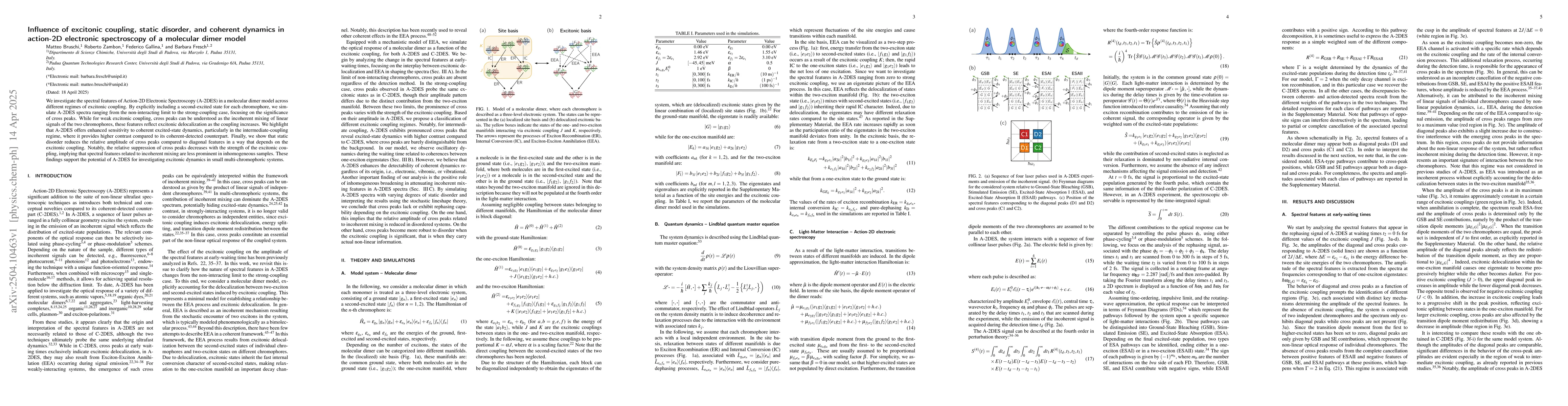 Thumbnail for Influence of excitonic coupling, static disorder, and coherent dynamics
  in action-2D electronic spectroscopy of a molecular dimer model